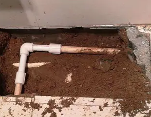 和县测漏水哪家好